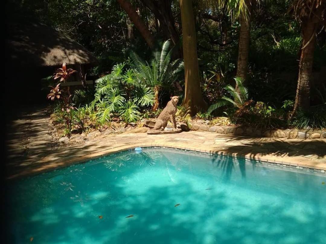 Lodge Paradise River *